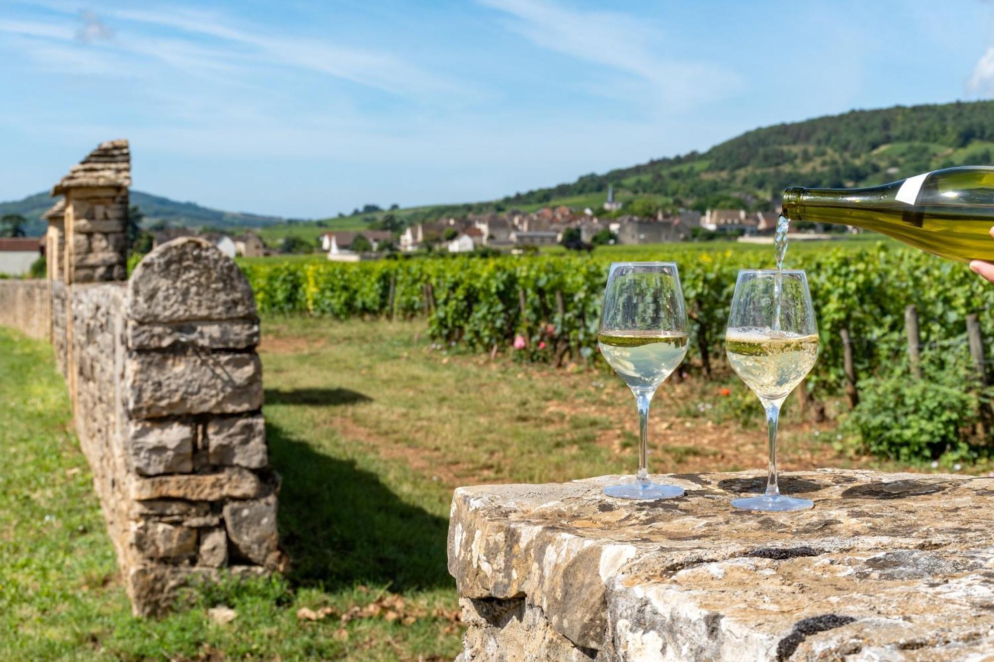 Charmante Maison Climatisee Avec Son Jardin A 10 Minutes De Dijon Marsannay-la-Cote Luaran gambar